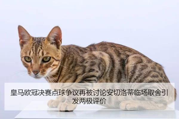 皇马欧冠决赛点球争议再被讨论安切洛蒂临场取舍引发两极评价