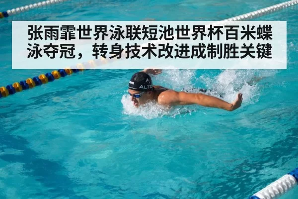 butterfly stroke turn